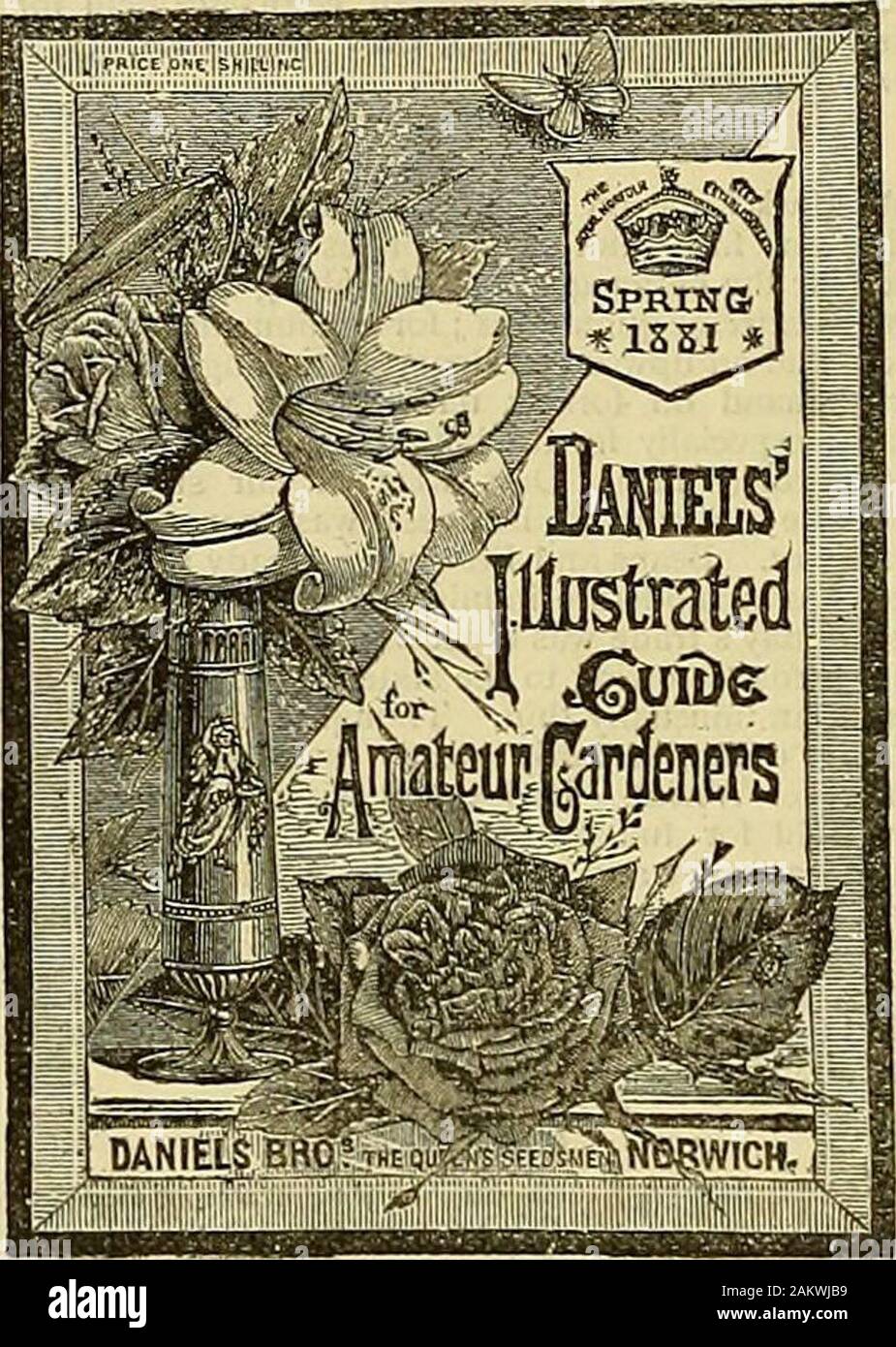 The Gardeners' chronicle : a weekly illustrated journal of horticulture and allied subjects . D. Seedling Thorns and otlier Forest Trees, Hardy CONIFERS and SHRUBS, CHEAP. MESSRS. LEVAVASSEUR and SON,NuREERYMEW, Ussy, Calvados, France.—CATA-LOGUES post-free on application to them, or to their Agents, Messrs. R. SILBERRAD and SON, 25, Savage Gardens,London, E.C. TO THE TRADE. PRIMROSE, double white, fine plants, 145. per 100.PRIMROSE, double lilac, fine plants, 12J. dd. per 100. ,. „ yellow, fine plants—these are very fine plants, fullof flower-buds, suitable for pots or window boxes^14^. per 1 Stock Photo