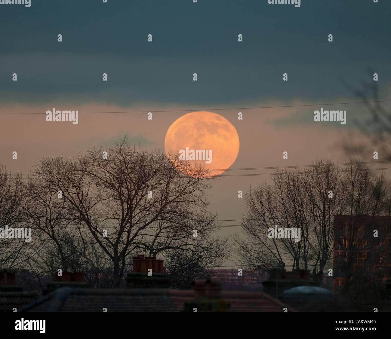 Wimbledon London Uk 10th January 2020 Wolf Moon Rising Through Trees And Above Rooftops In South West London Will Display A Penumbral Lunar Eclipse In Mid Evening With The Moon Passing The Edge