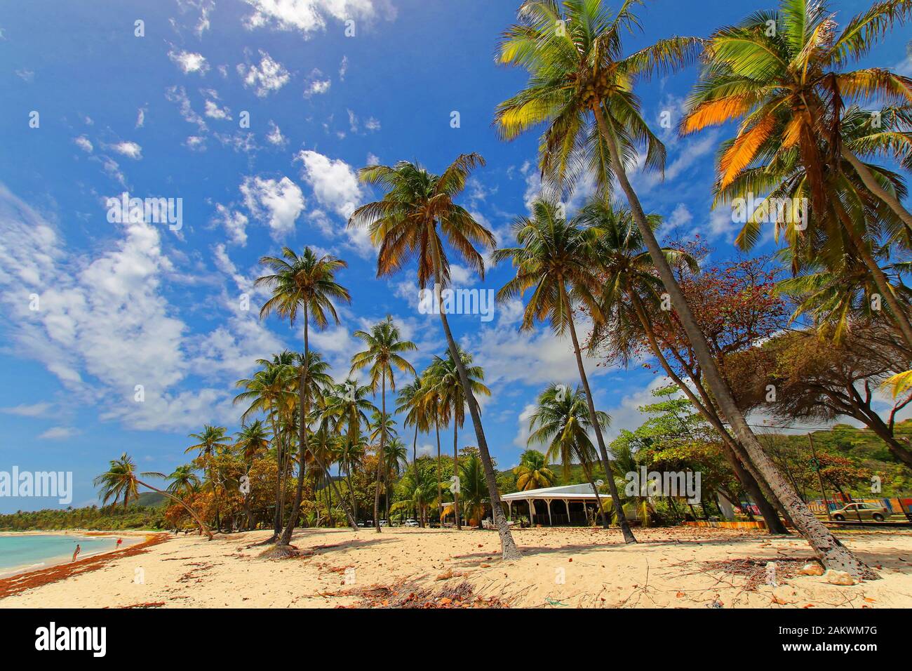 Capesterre beach in Marie Galante Stock Photo - Alamy