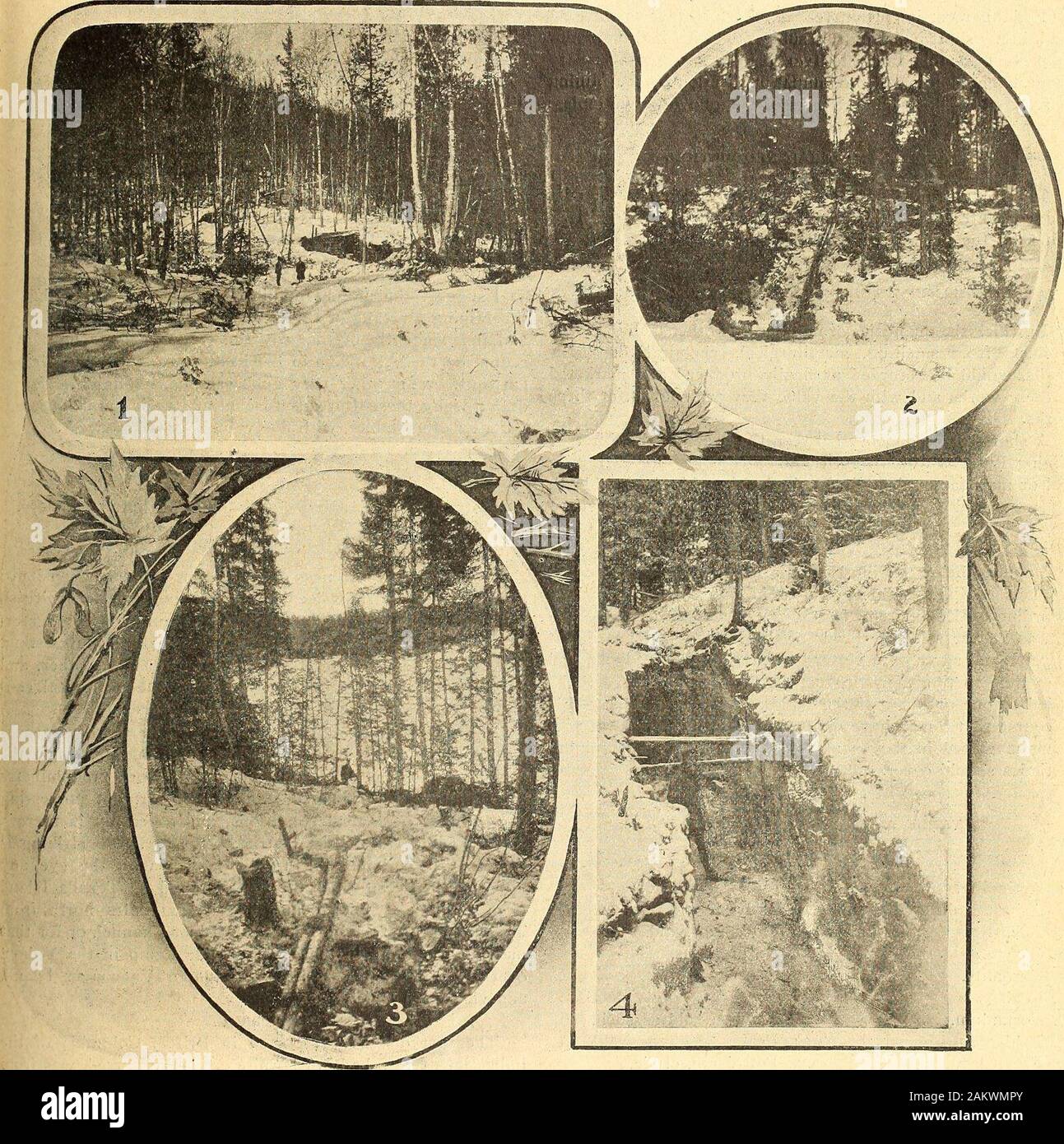 Canadian Mining Journal January June 1905 See Descriptive
