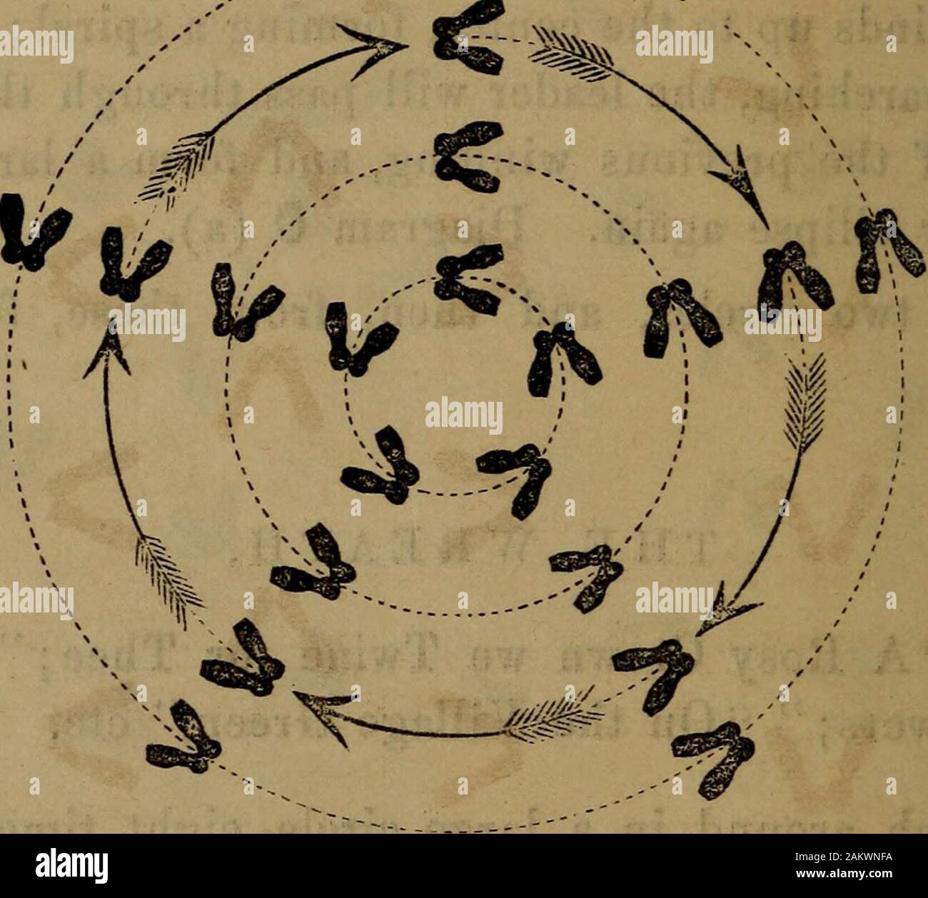 ellipsis examples in songs ellipsis examples in songs