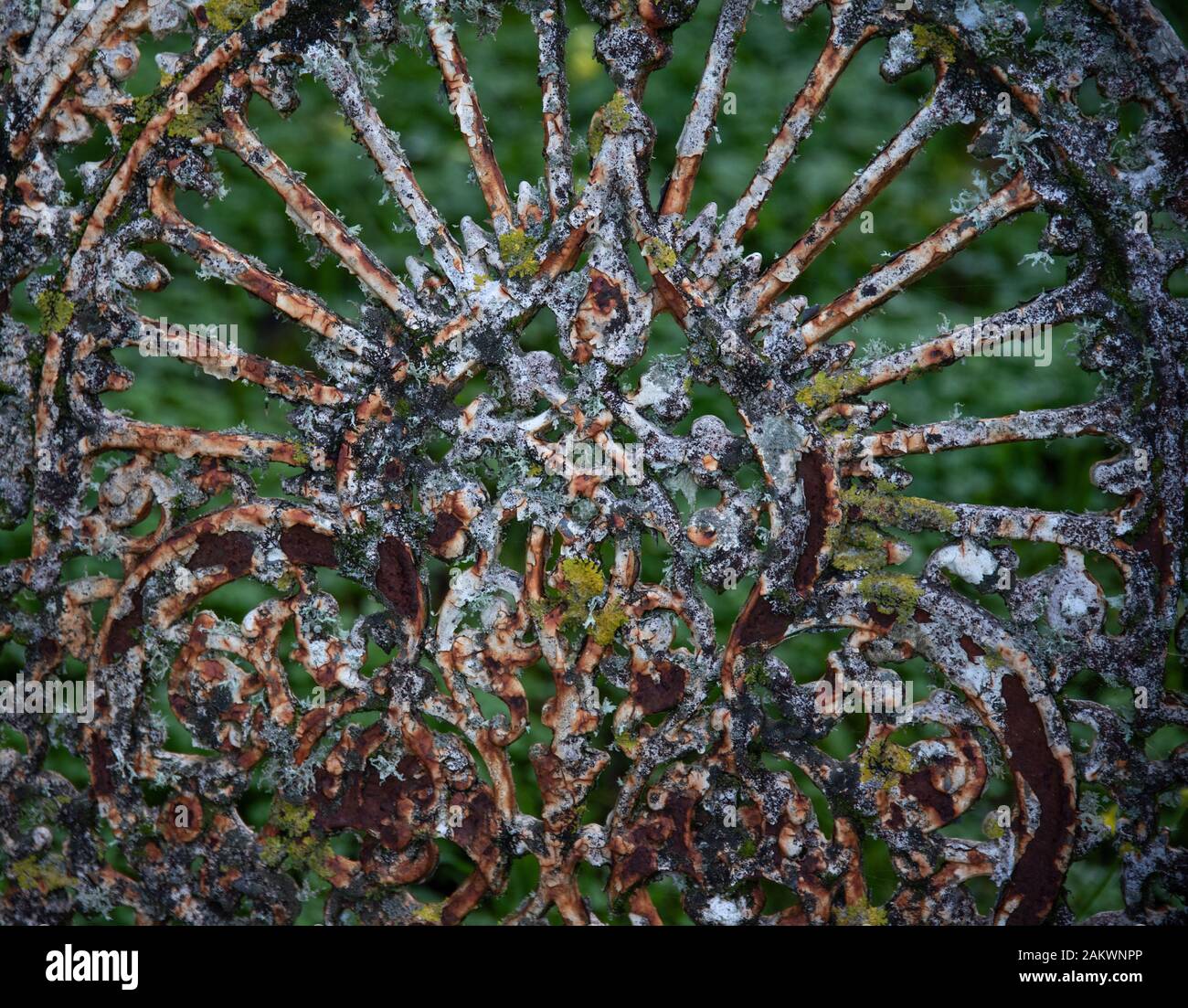 Ornate iron bench fallen hi-res stock photography and images - Alamy