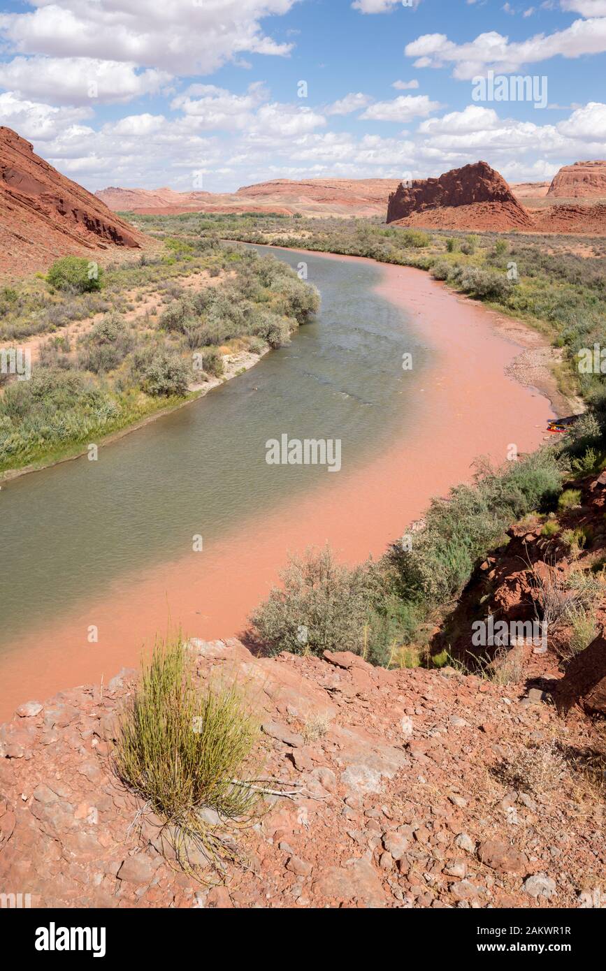 Mixing waters below the confluence of Chinle Wash and the San Juan