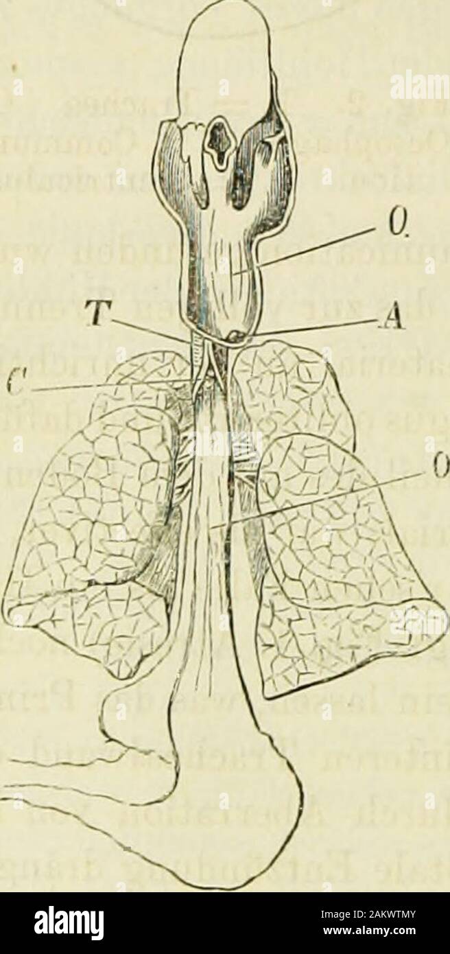 coupe vent imperméable running