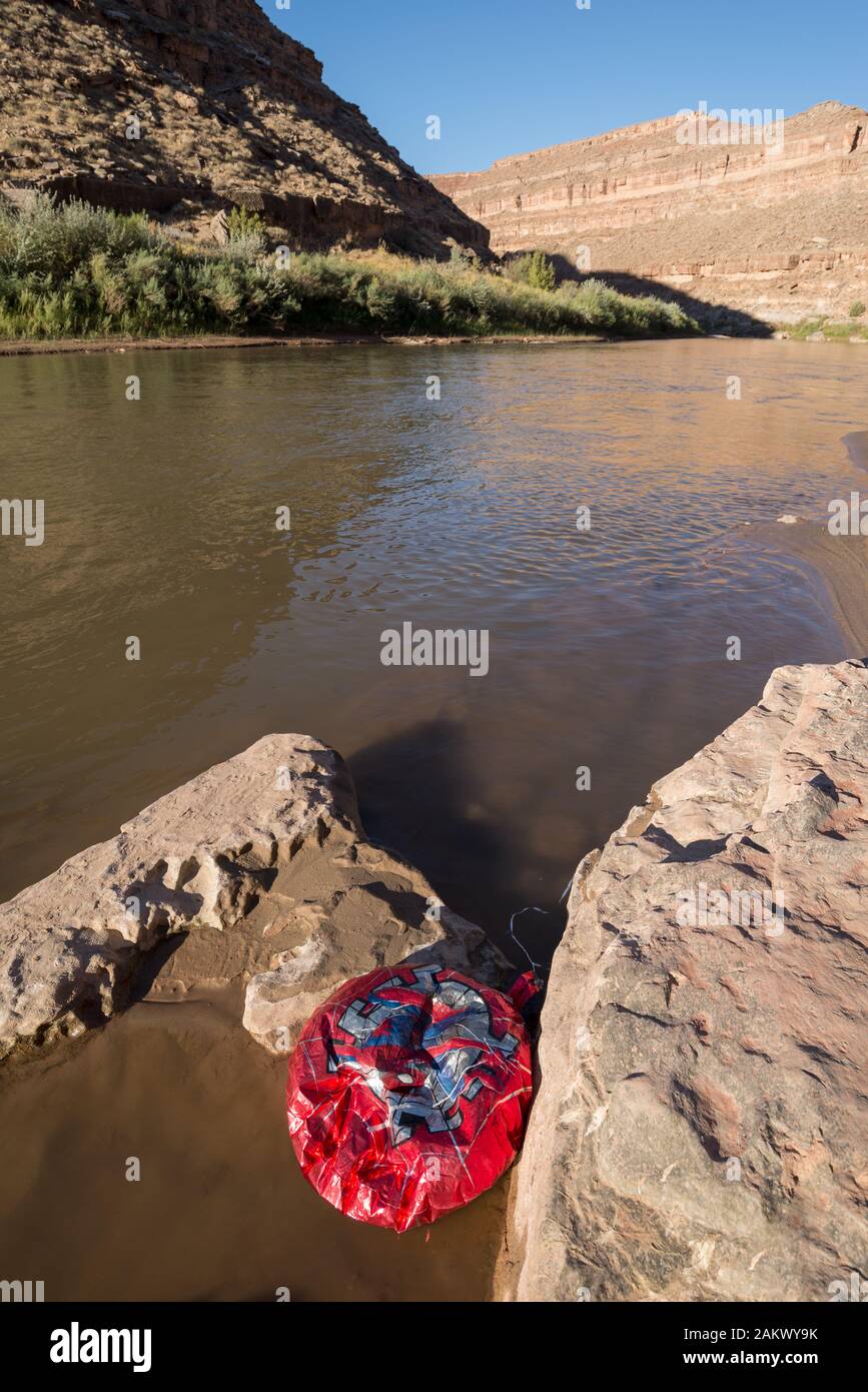 Windblown helium party balloon on the shore of the San Juan River in Southern Utah. Stock Photo