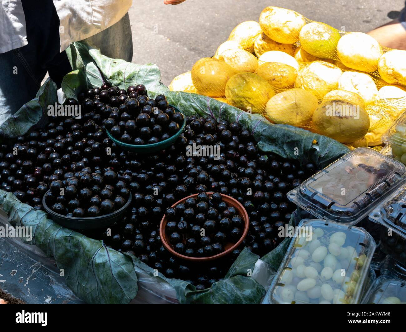 Jabuticaba fruit at the Sunday farmer's market, Gloria, Rio de Janeiro, Brazil. Stock Photo