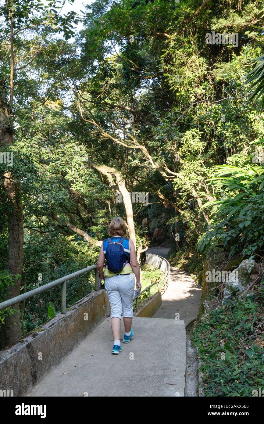 Hong Kong Central Green Trail - a woman walking on the central Green Trail, a walking path from the Peak down to the harbour, Hong Kong Island Asia Stock Photo