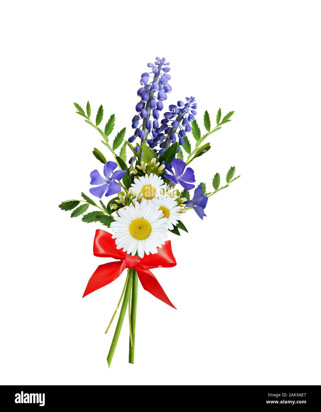 Wild flowers bouquet on white background Stock Photo - Alamy