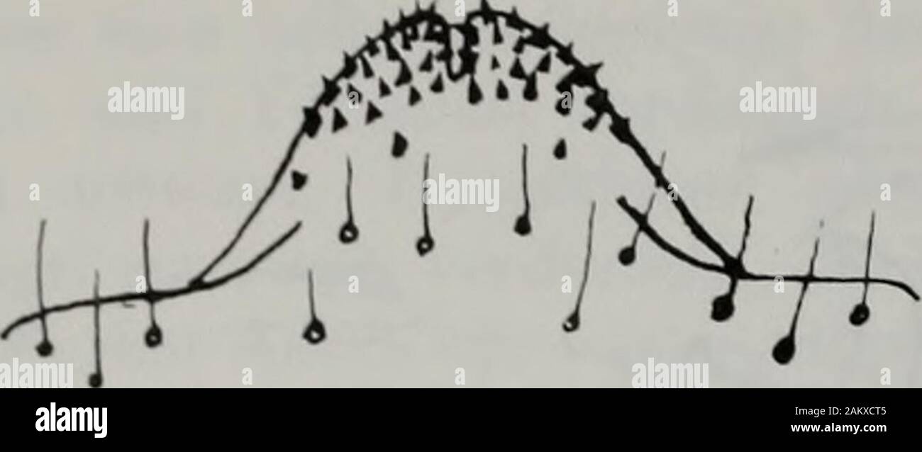 Trennung 7 High Resolution Stock Photography And Images Alamy