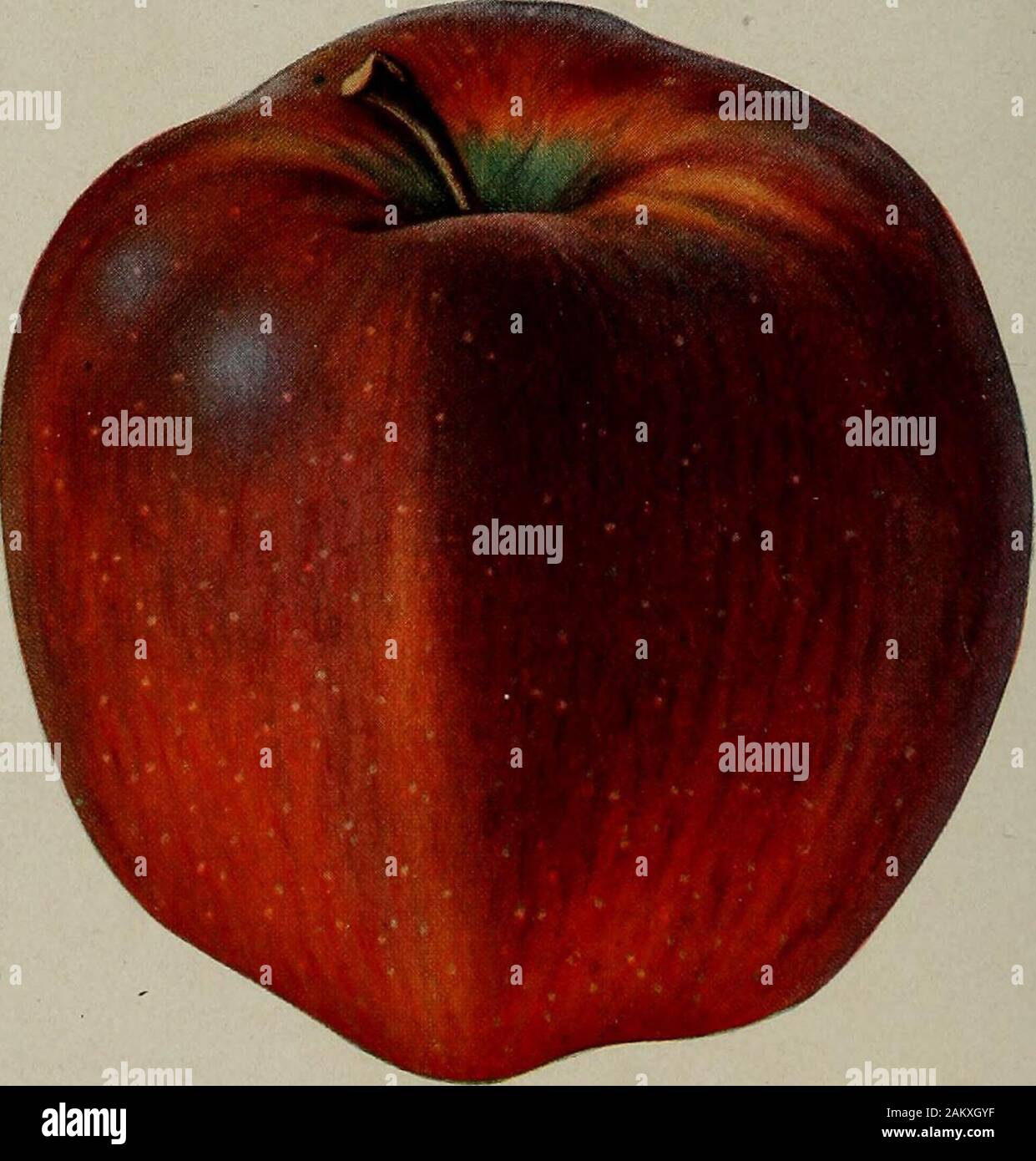 *Pomme Now Available: Yellowstone Universal Disk Controller for