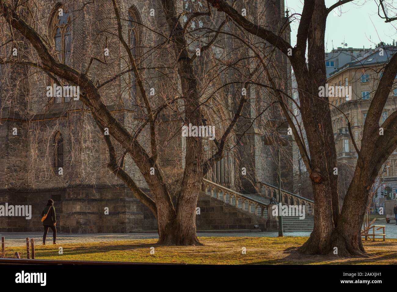 Prague Czech Republic January 10 of 2020 - Beautiful morning view of Namesti Miru with old trees in front of the Church of St Ludmila under warm sun l Stock Photo