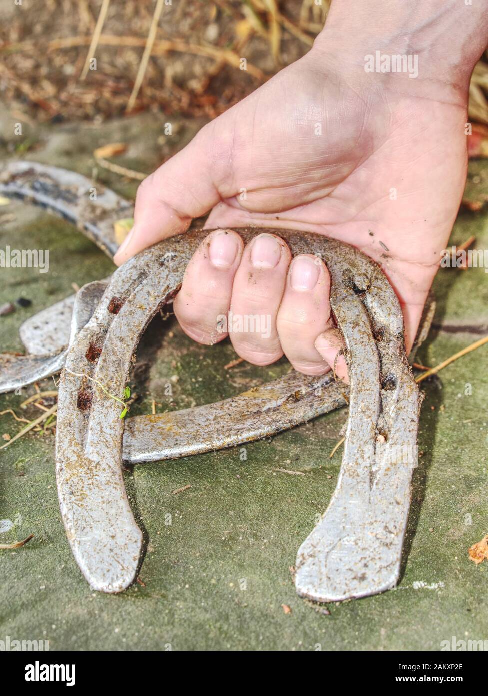Silver used horse shoes on palm of young woman in red jacket. Fall season still with obsolet