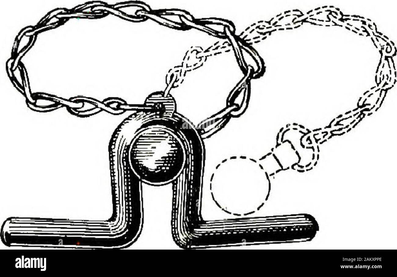 Restraint of domestic a book for the use of students and practitioners; 312 illustrations pen drawings and 26 half tones from original photographs . Fig. Rope and StFck Twitch
