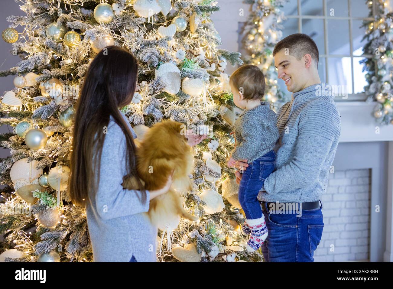 Happy young couple and their baby son near Christmas tree at home. Dad carrying little boy while mom holding lap-dog. Stock Photo