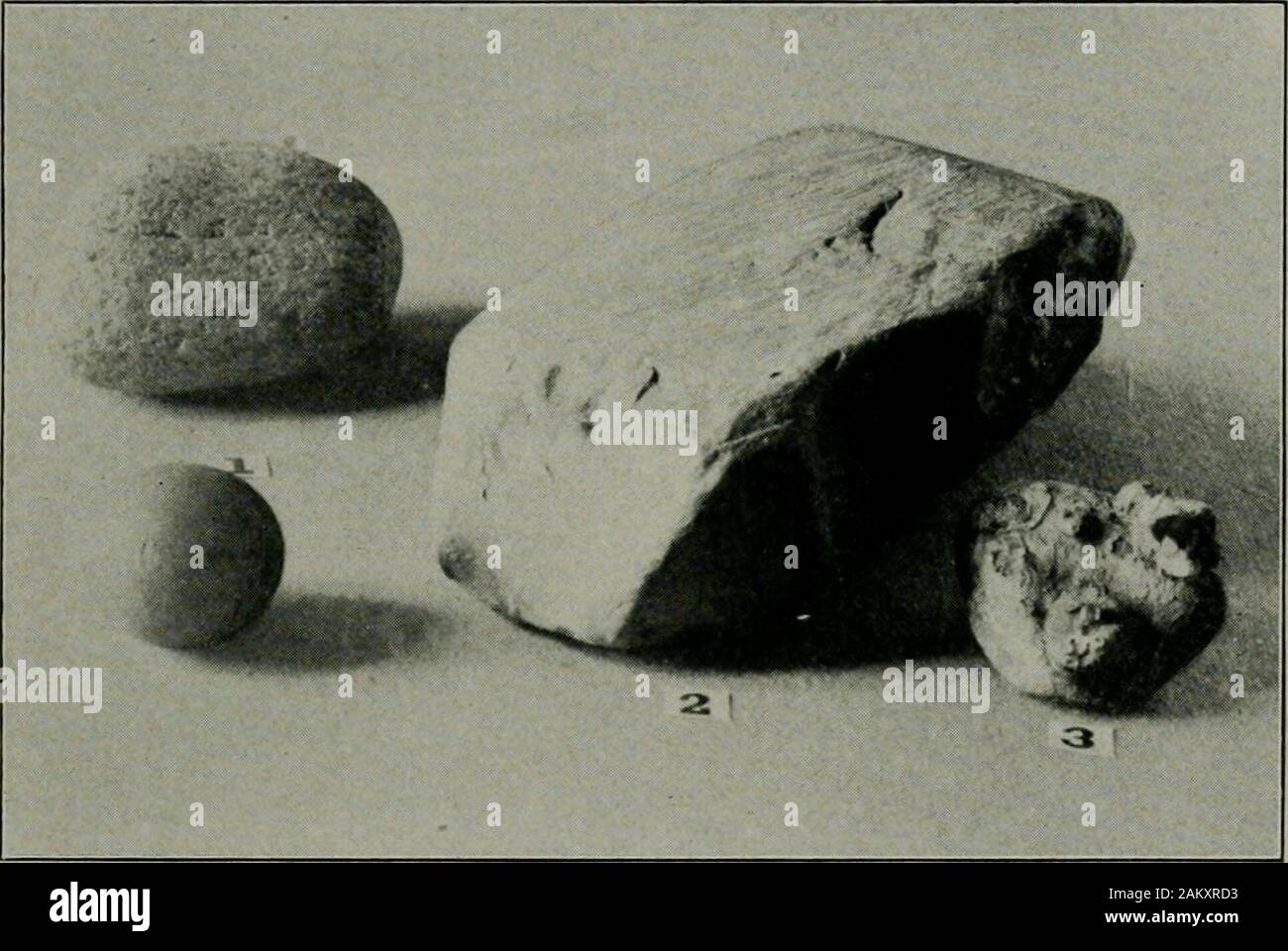 Physical features of the Des Plaines Valley . because the stone tends to orient itself in the position in which itwill offer least resistance to the abrading force. This feature is illus-trated in the glacial stone in Plate 3. As regards the composition of its rock particles, the till exhibits avery remarkal)le variety. The pebbles and bowlders show a lithologicalheterogeneity far greater than any lot of pebbles that a river or a lakealone would be likely to collect. While most of the pebbles resemble theunderlying rock, many of them correspond to rock formations whichoccur not nearer than 50. Stock Photo