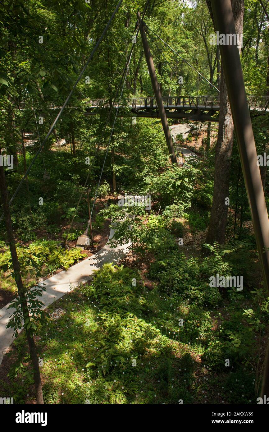 Atlanta botanical canopy walk hires stock photography and images Alamy