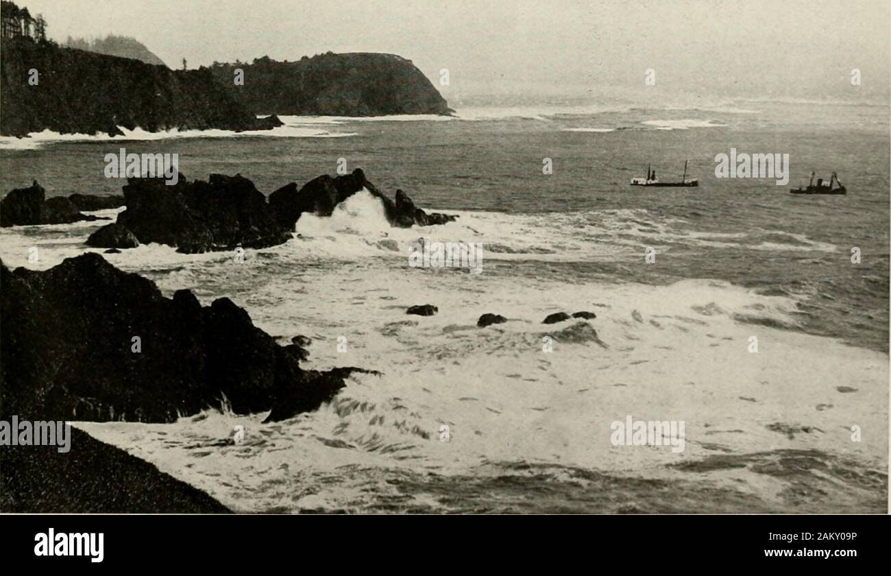 Puget Sound and western Washington; cities--towns--scenery . NORTH HEAD UGHT HOUSE ^ North Head Li?ht House occupies the high bluff projecting into the Pacific Ocean, at the mouth of the Columbia River, inthe extreme southwestern corner of the State of Washington, near Ilwaco and Fort Canby, in Pacific Ctmnty.. BREAKERS NEAR NORTH HEAD LIGHT HOUSE The photOKraph of this view was taken during the only lull in a storm lasting forty-eight hours, when the brave com-mander of a steam tug boat ventured into most perilous waters and towed out a heavily laden .schooner which was beingdriven ashore. Th Stock Photo