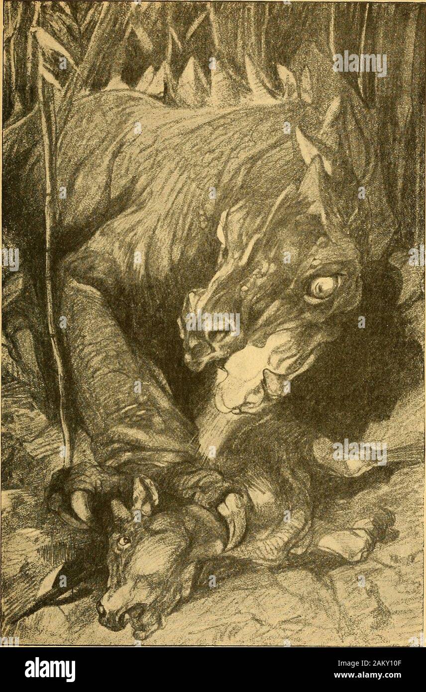 Postkarte “Never regret” – für mutige Herzen \u0026 schöne Erinnerungen (rot), image size:856x1390