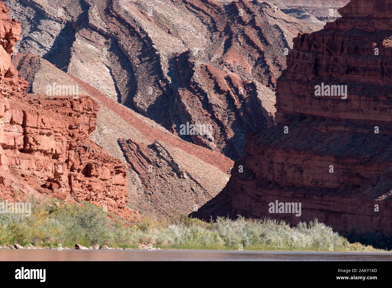 Juan River carving a canyon through the Raplee Anticline in Southern ...