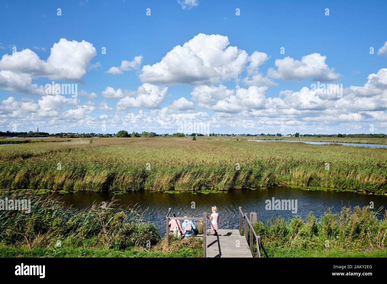 Dutch country landscape with a lot of water and reed near the  Woerdense Verlaat, Utrecht Stock Photo