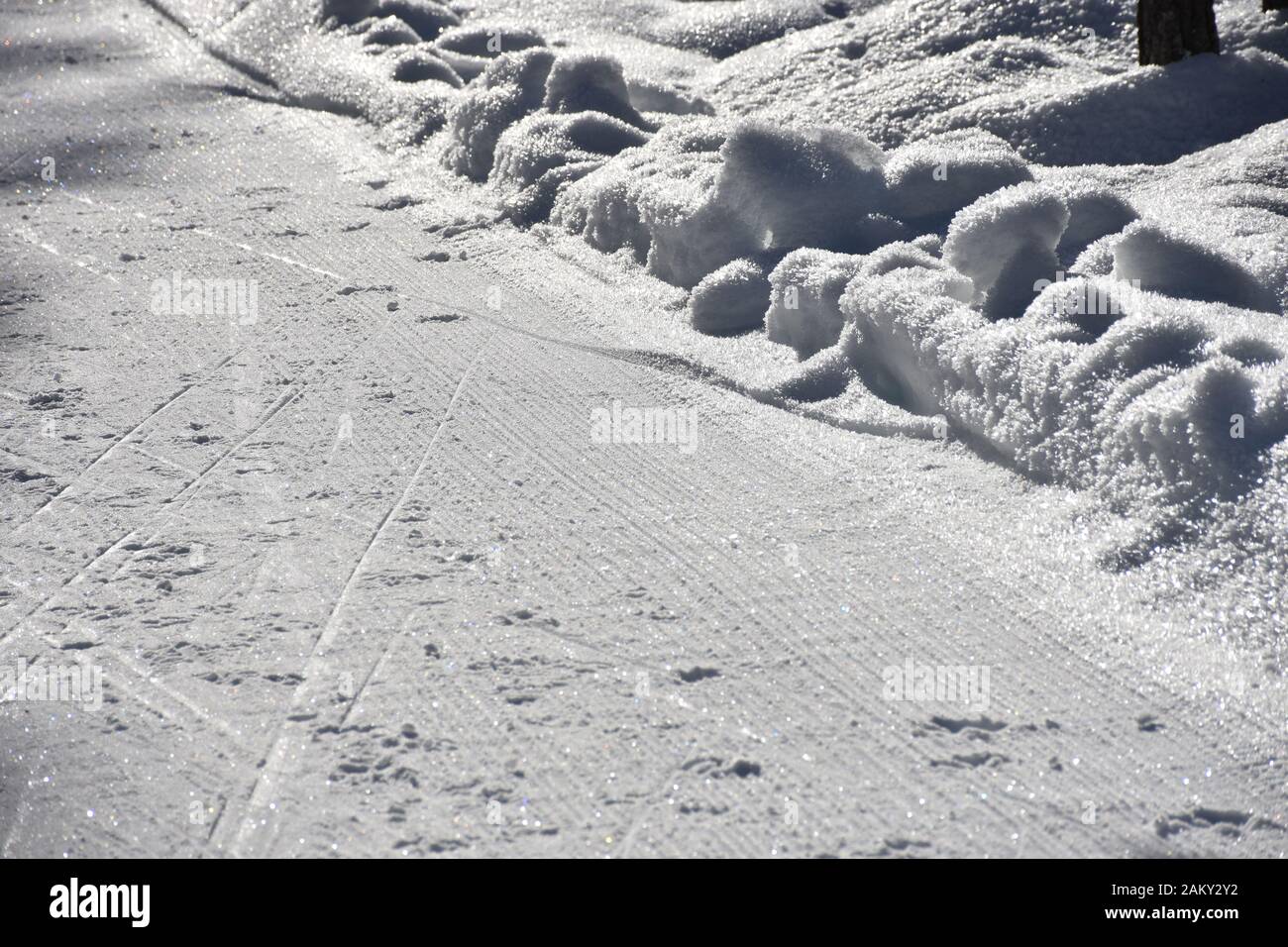 Loipe, Langlaufloipe, Piste, Schipiste, Langlaufen, Spur, Freestyle, Schnee, Winter, Jahreszeit, präpariert, kalt, Winter, frieren, Toblach, Südtirol, Stock Photo