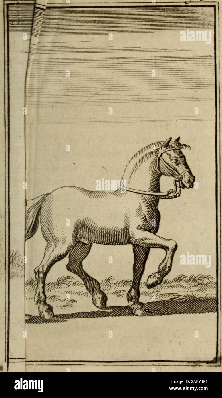 Bookidlelogede High Resolution Stock Photography And Images Alamy