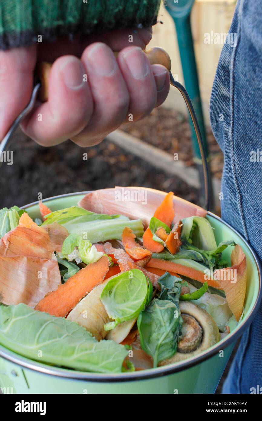Food waste collected for making into compost in a UK garden. Stock Photo