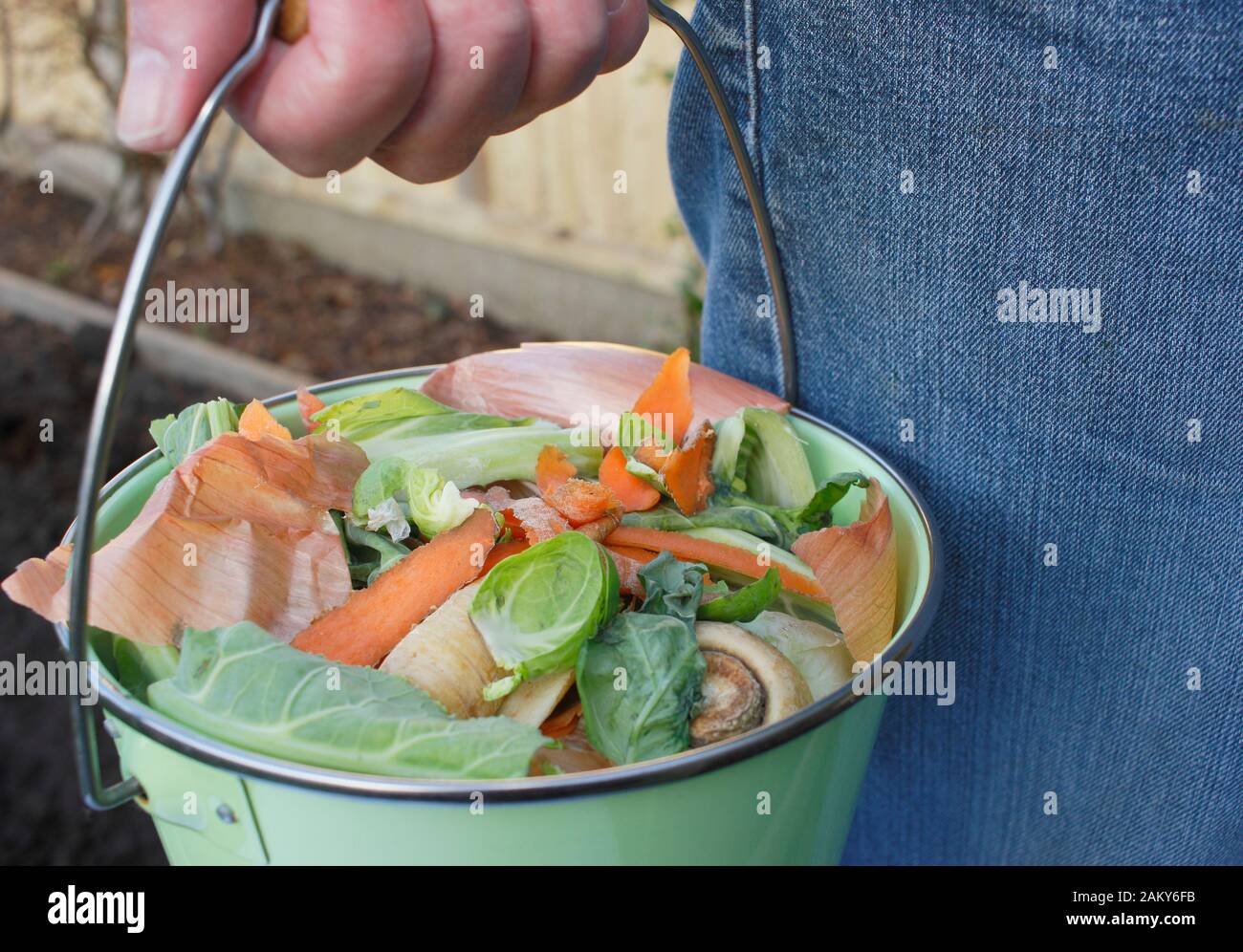 Food waste, such as vegetable and fruit peelings, taken into a home vegetable garden for making into compost. UK Stock Photo