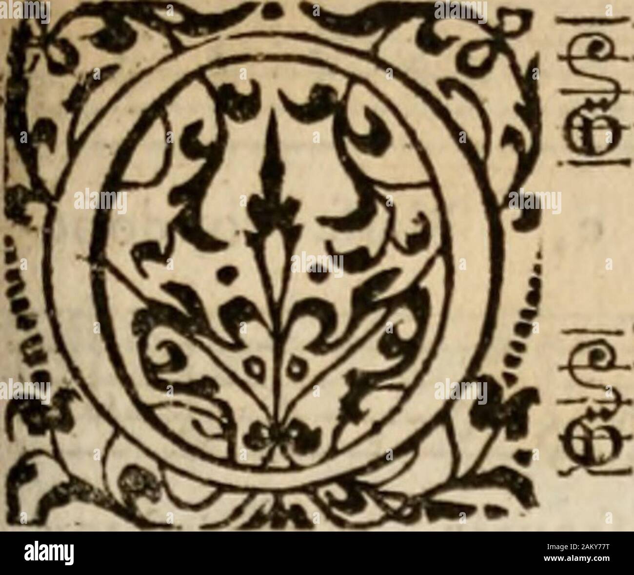 Nayes High Resolution Stock Photography And Images Alamy