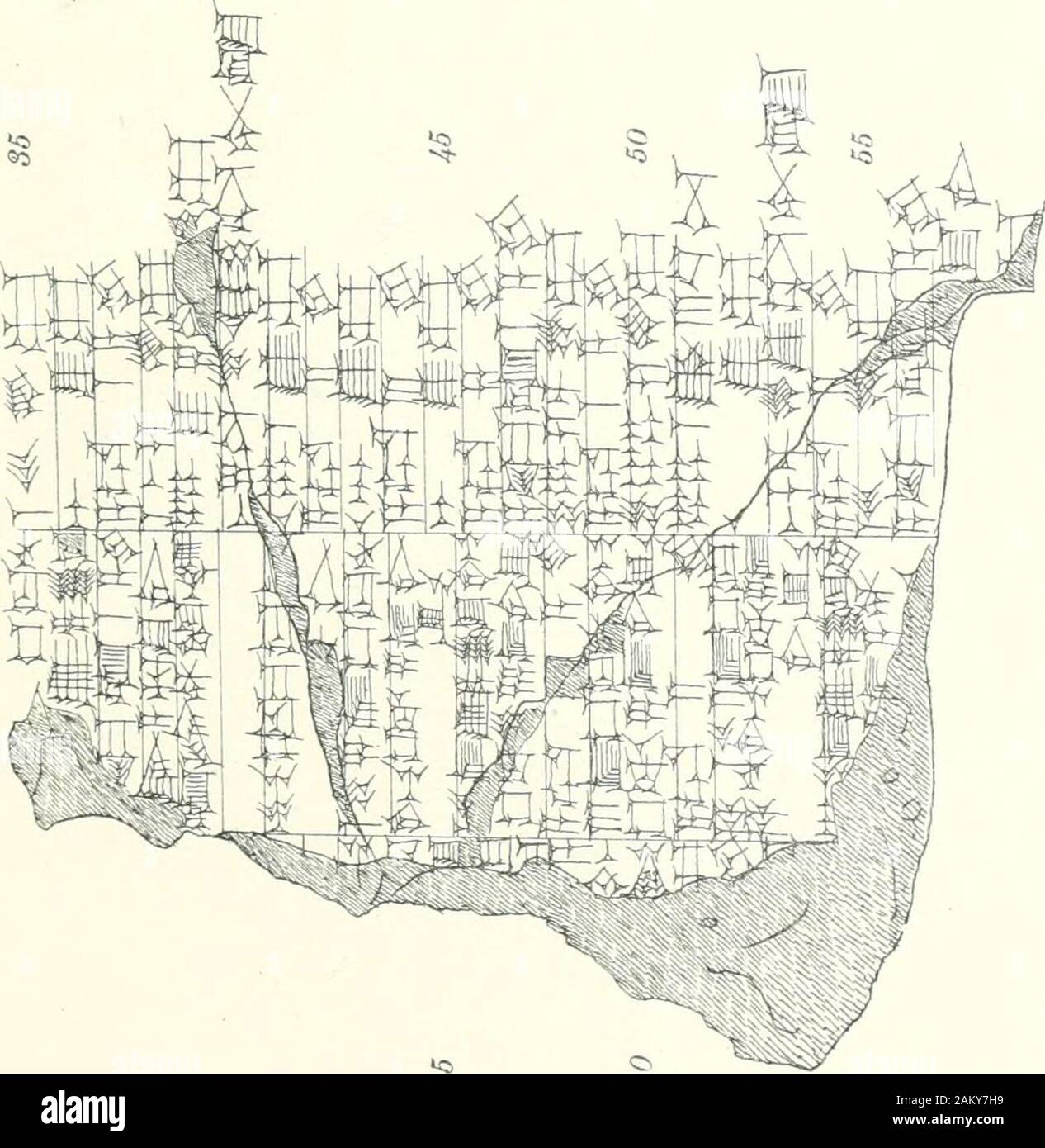 The Babylonian Expedition of the University of PennsylvaniaSeries A: Cuneiform  texts . 35. 36. SUMMARY ACCOUNT OF CORN AND WHEAT.37. FRAGMENT OF A PAY  LIST. PL. XII. tjt> University of TorontoLibrary DO