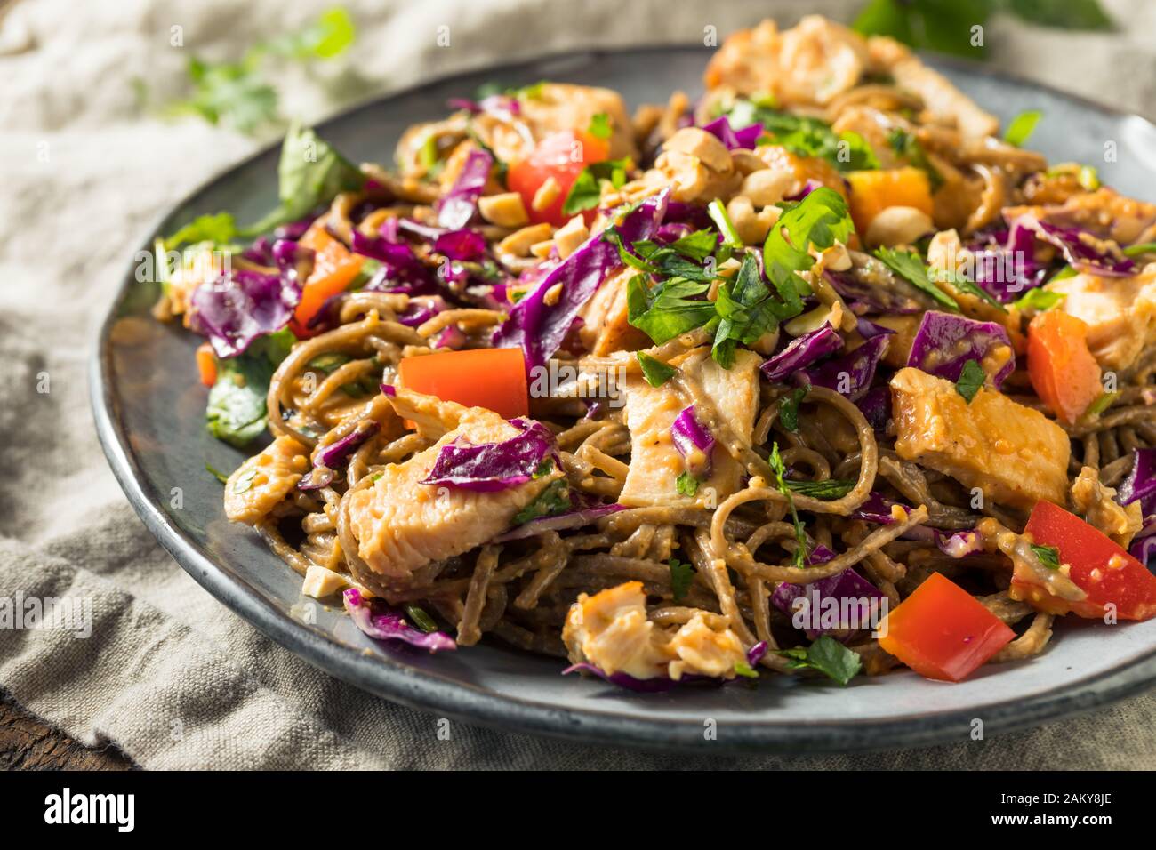 Homemade Spicy Chicken Soba Noodle Salad with Peanut Sauce Stock Photo