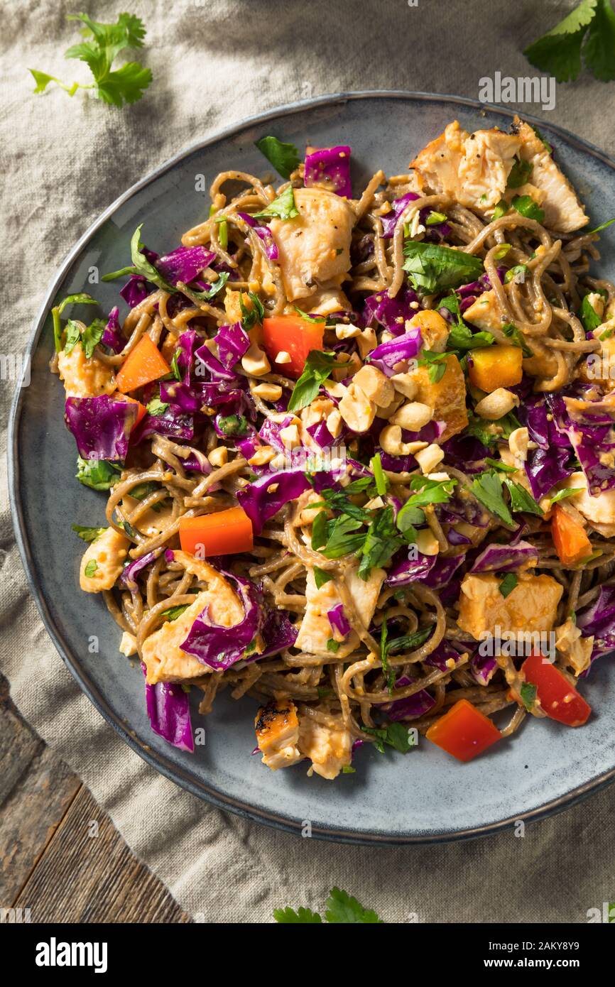 Homemade Spicy Chicken Soba Noodle Salad with Peanut Sauce Stock Photo