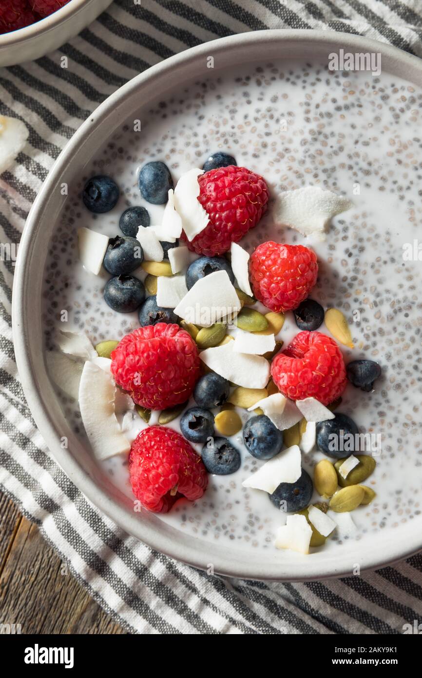 Homemade Chia Seed Pudding Bowl with Berries and Nuts Stock Photo Alamy