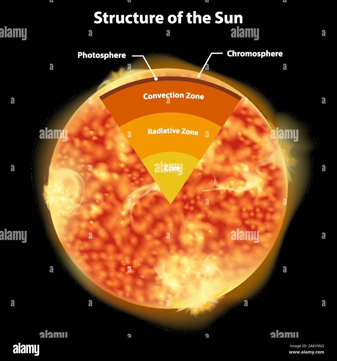 layers of the sun labeled