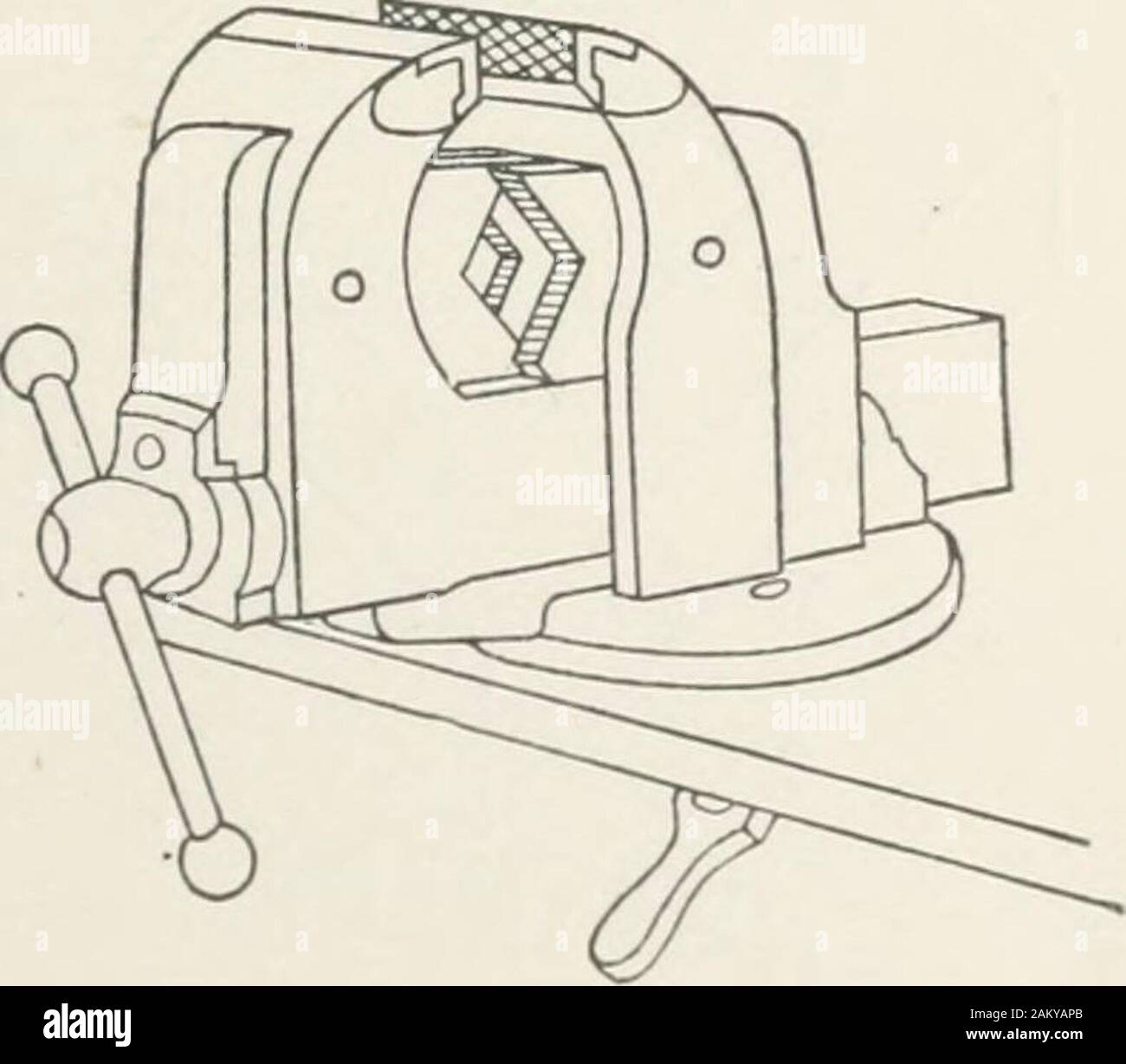 Featured image of post Pig Drawing Reference