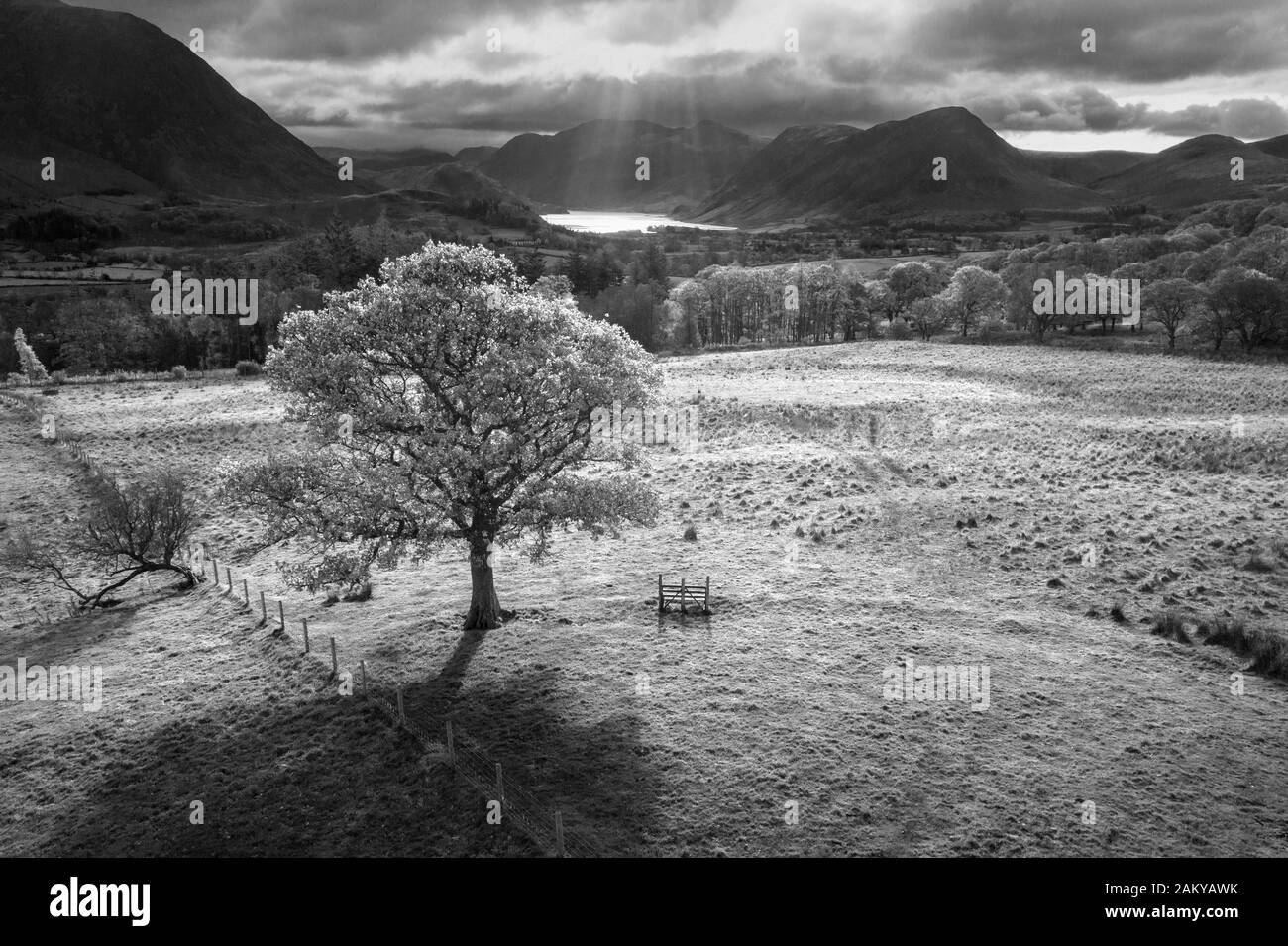 Stunning aerial drone Autumn Fall landscape image of view from Low Fell in Lake District looking towards Crummock Water and Mellbreak and Grasmoor pea Stock Photo