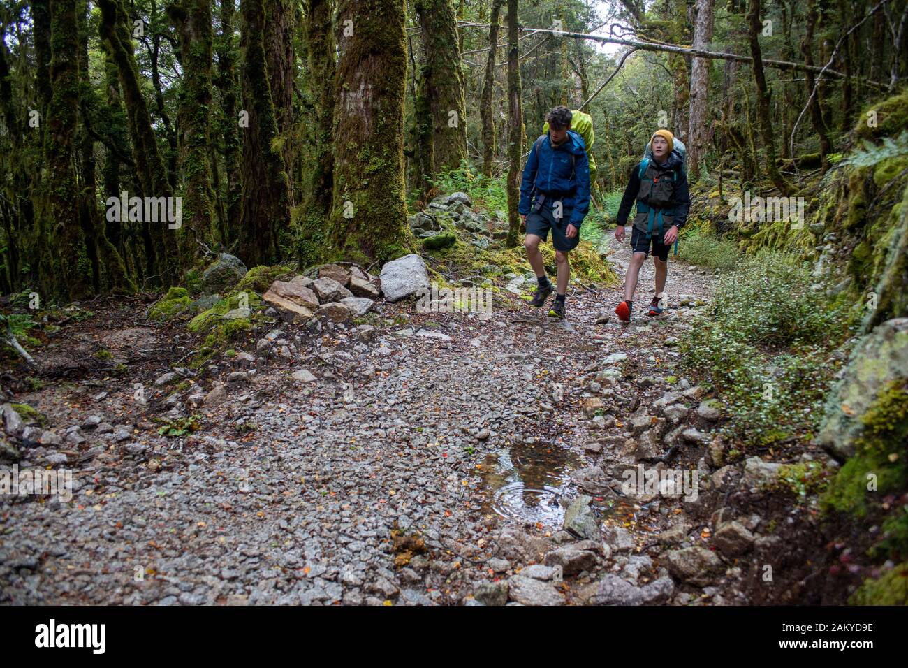Walking the Old Ghost Road trail, Lyell to Seddonville, New Zealand. Between Lyell Saddle hut and Ghost Lake hut, heading east Stock Photo