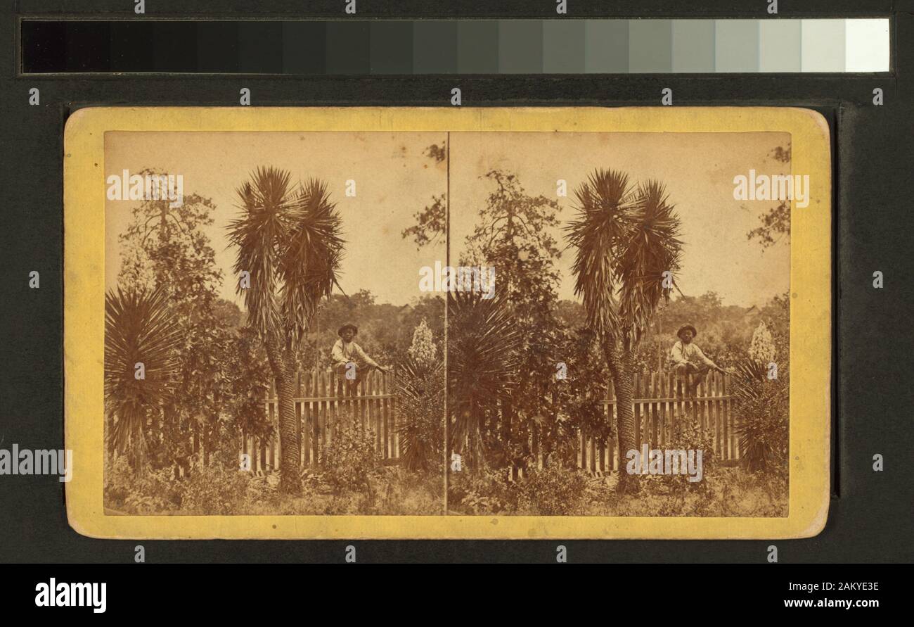 Spanish Spanish Spanish Stock Photo Alamy