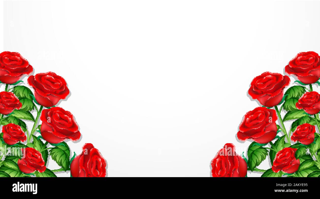 Design For Theme Roses Valentine theme with red roses on white background illustration Stock ...
