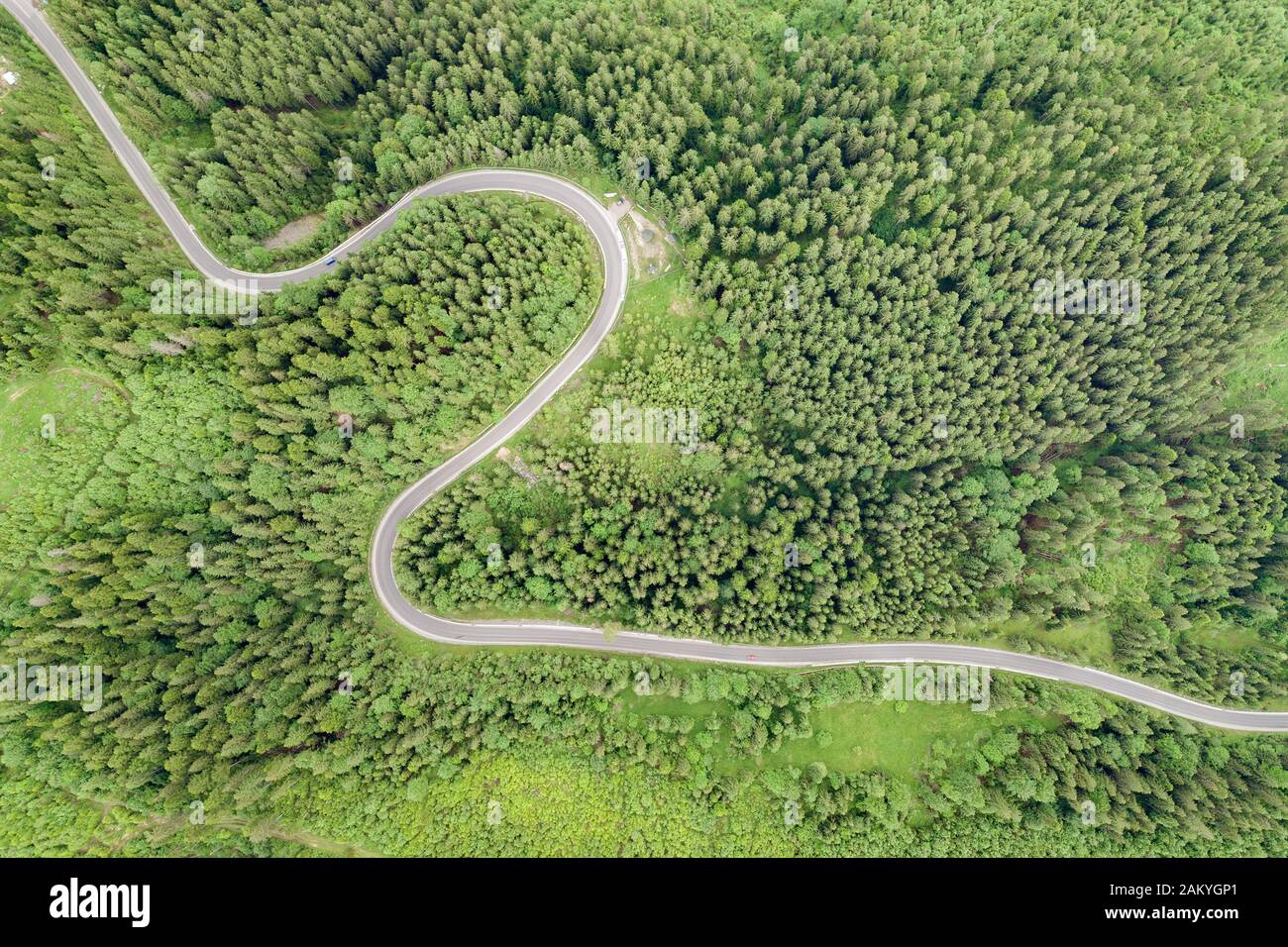 Top down aerial view of winding forest road in green mountain spruce ...
