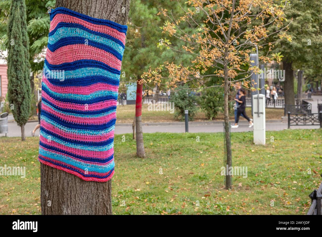 Trees wearing colorful knitted scarves in autumn park. Care about nature and environment concept. Stock Photo