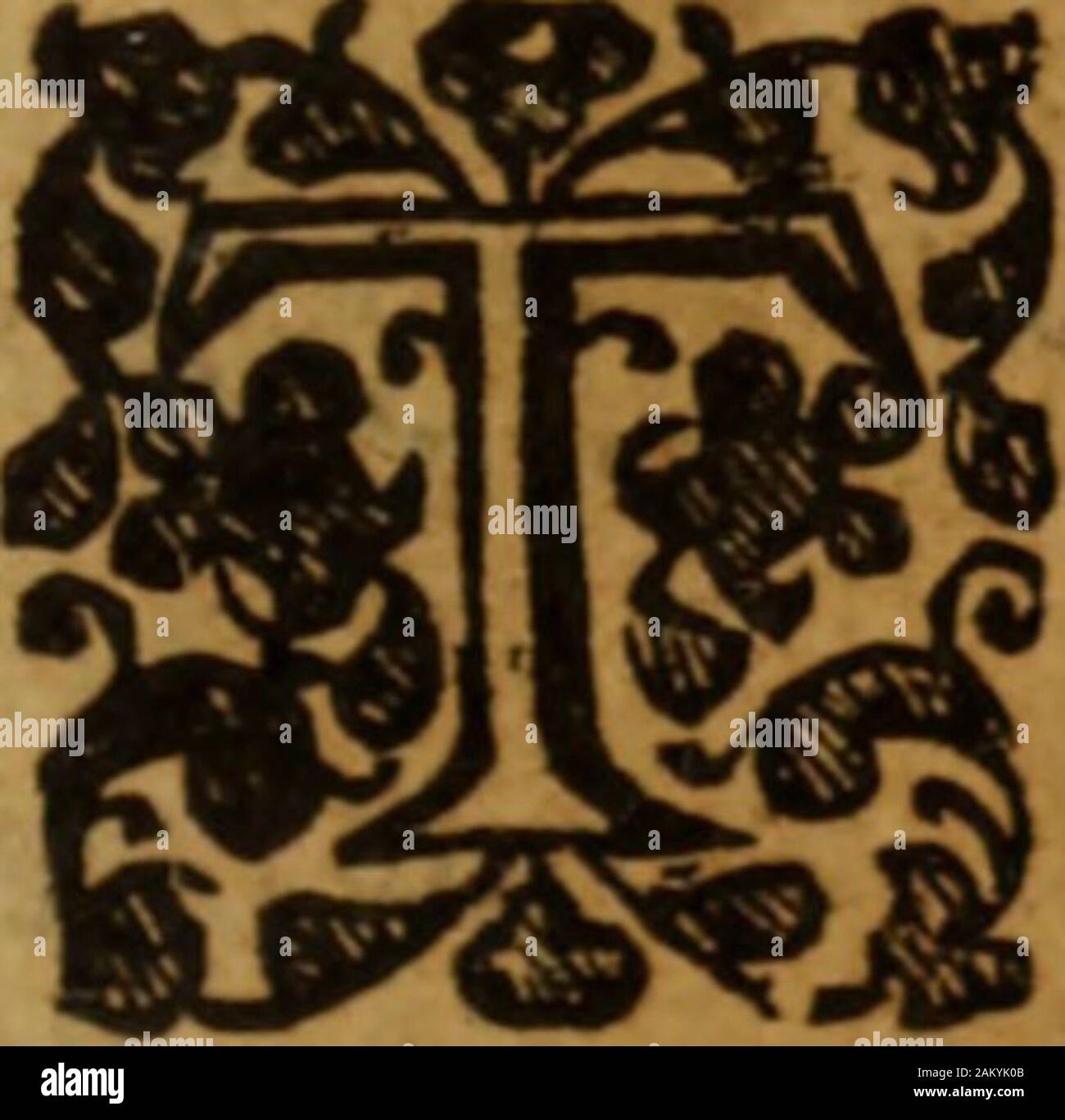 P 1r High Resolution Stock Photography And Images Alamy