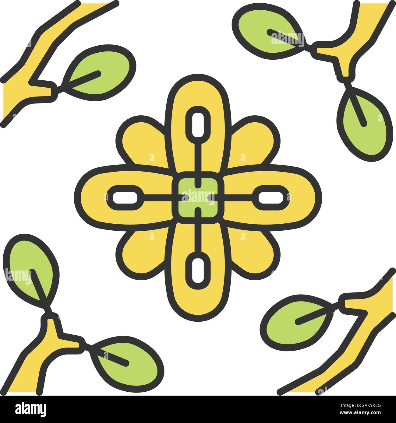 Larrea color icon. Creosote bush. Mexican and United States exotic flora. Flower framed twigs. Isolated vector illustration Stock Vector