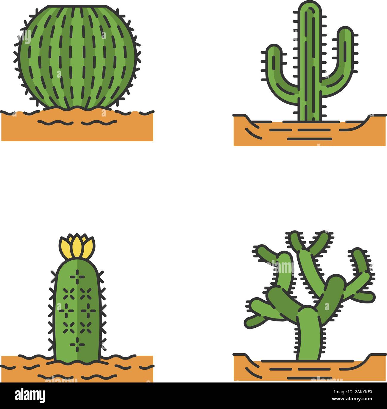 Wild cacti in land color icons set. Tropical succulent. Spiny plant. Barrel cactus, cholla, saguaro, hedgehog cactus. Isolated vector illustrations Stock Vector
