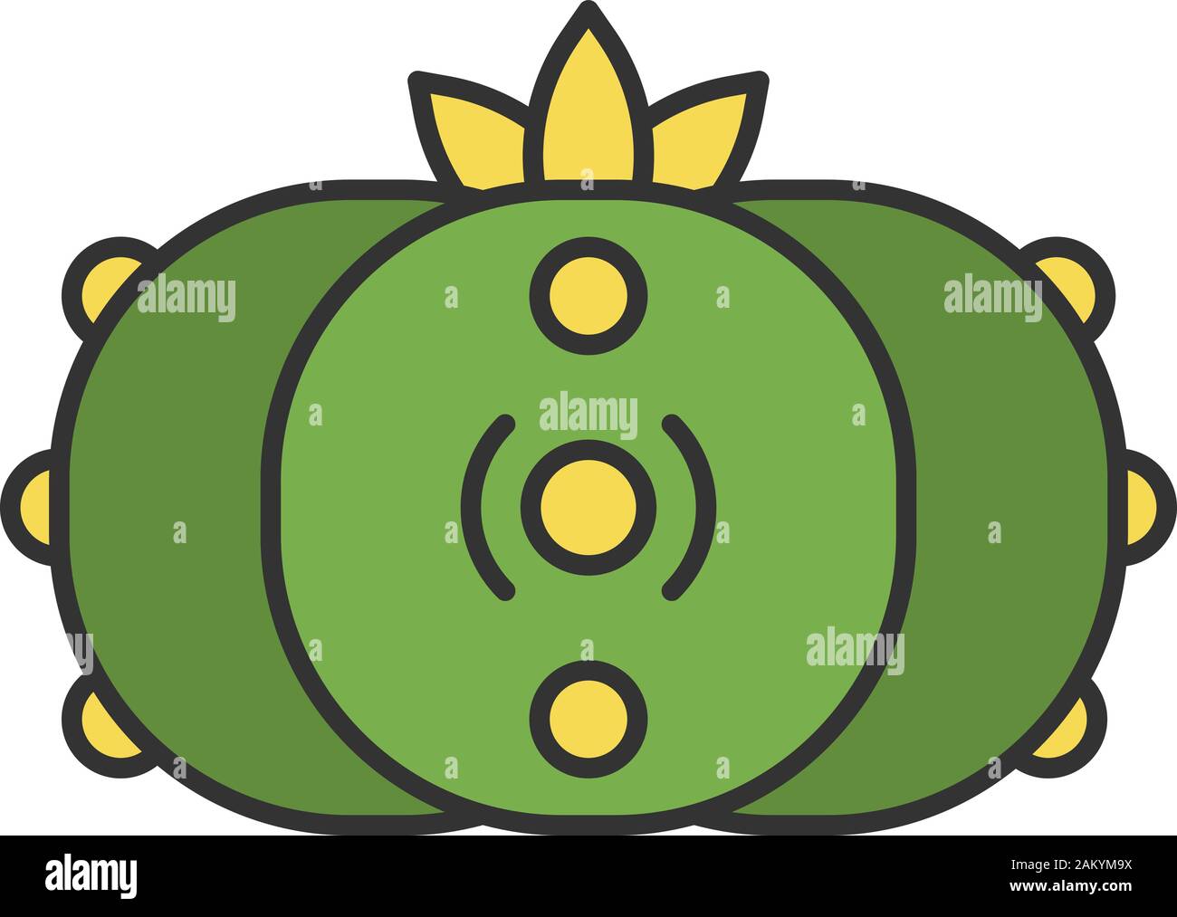 Peyote cactus color icon. Lophophora. Mescal button. Hallucinogenic cactus. Mexico native flora. Isolated vector illustration Stock Vector