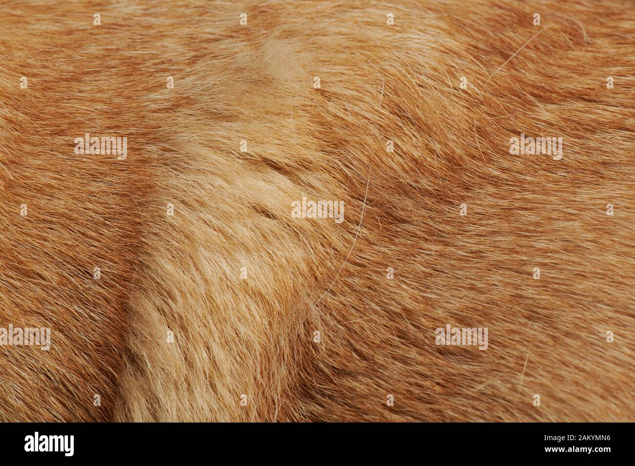 Hair texture yellow hires stock photography and images Alamy