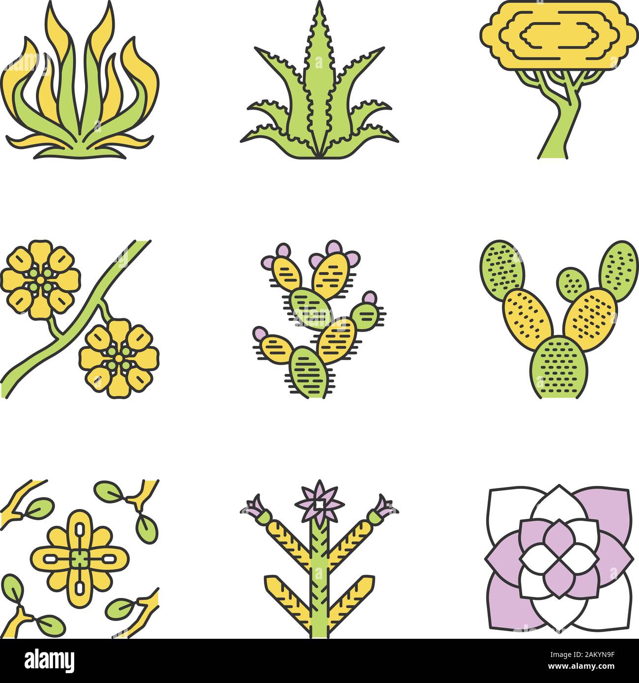 Desert plants color icons set. Exotic flora. American succulents and  drought resistant plants. Larrea, palo verde tree, aloe vera, agave.  Isolated vec Stock Vector Image & Art - Alamy