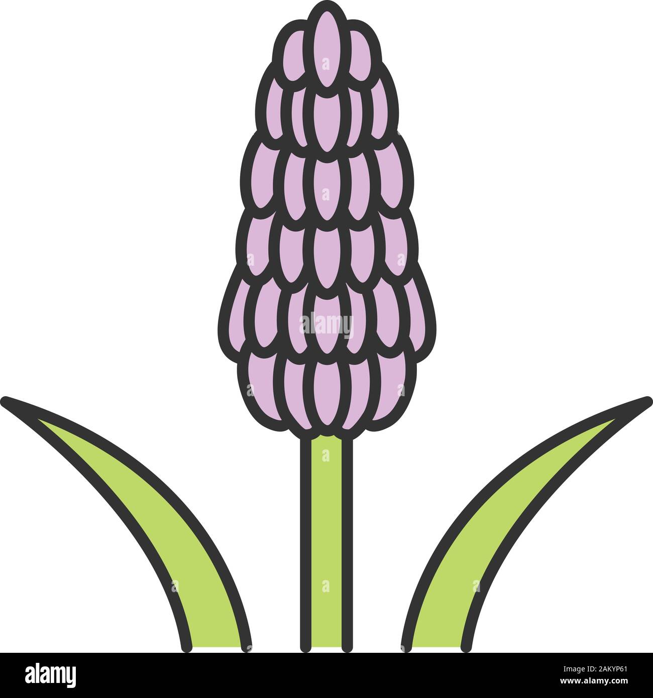 Red hot poker plant color icon. Tritoma. Kniphofia flower. Torch lily. Exotic flora. Muscari. Isolated vector illustration Stock Vector