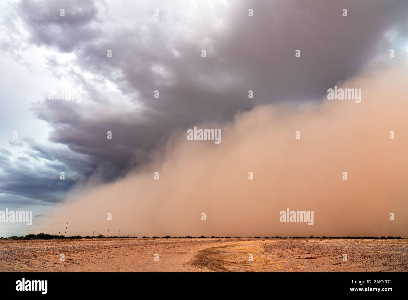 A haboob dust storm pushes across the desert ahead of a strong thunderstorm near Eloy, Arizona Stock Photo