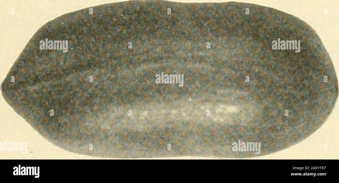 Tical Hi Res Stock Photography And Images Page 3 Alamy